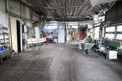 Tuinbouwbedrijf Achterdiep NZ Sappemeer foto 5.jpeg